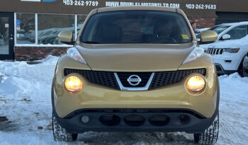 2013 Nissan Juke full