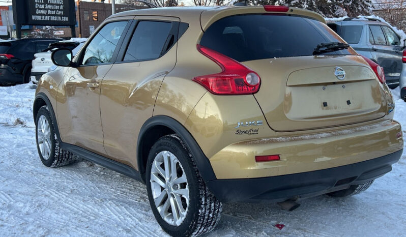 2013 Nissan Juke full