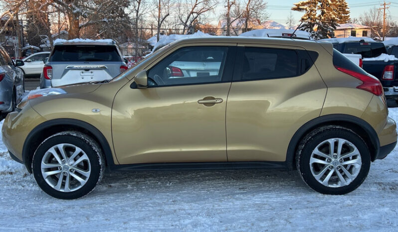 2013 Nissan Juke full