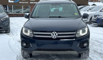 2014 Volkswagen Tiguan full