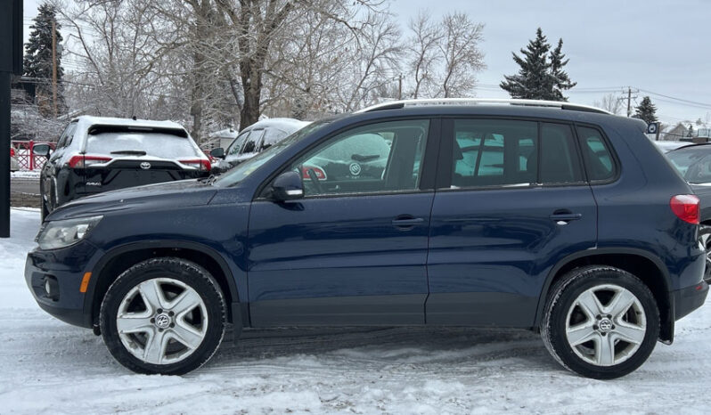 2014 Volkswagen Tiguan full