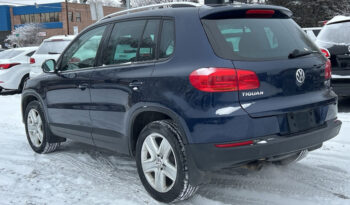 2014 Volkswagen Tiguan full