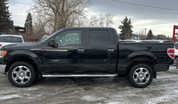 2012 Ford F-150 XLT full