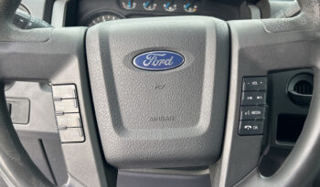 2013 Ford F-150 full