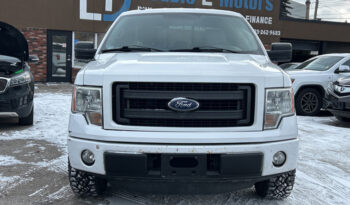 2013 Ford F-150 full