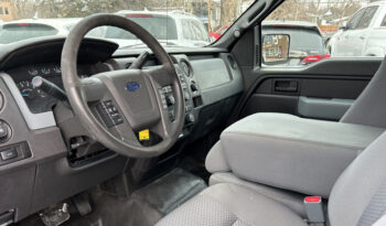 2013 Ford F-150 full